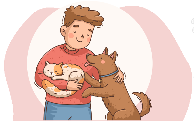 cat and dog together