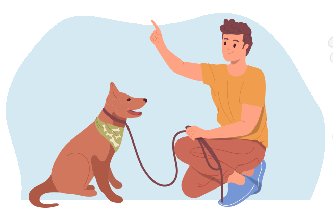 Pet Training