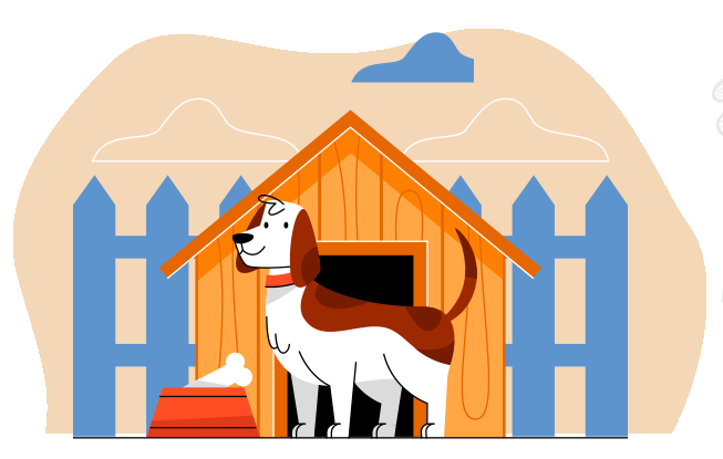 Boarding (Dog Hostels)
